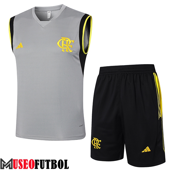 Camiseta Entrenamiento sin mangas Flamengo Gris/Negro/Amarillo 2024/2025