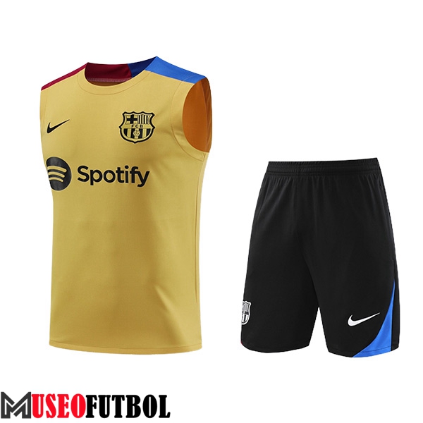 Camiseta Entrenamiento sin mangas FC Barcelona Amarillo/Azul/Rojo 2024/2025