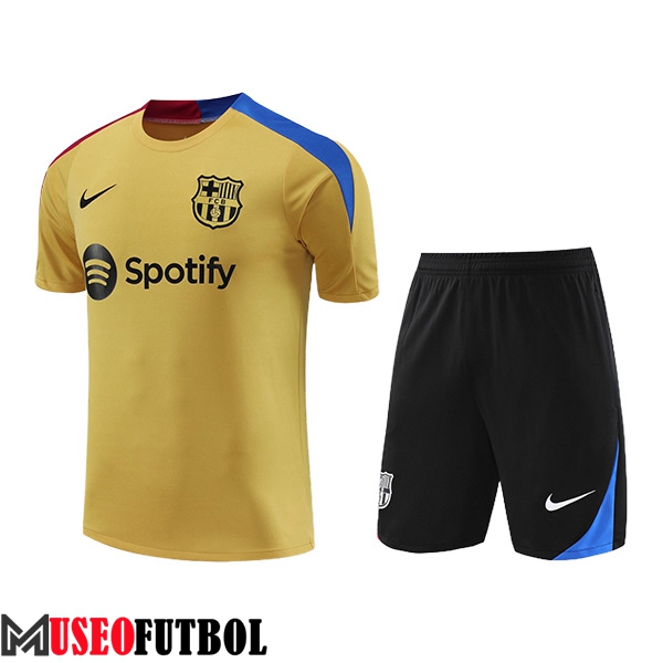 Camiseta Entrenamiento FC Barcelona Amarillo/Azul/Rojo 2024/2025