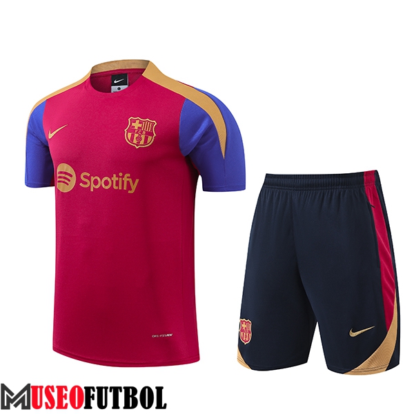 Camiseta Entrenamiento FC Barcelona Rojo/Azul/Amarillo 2024/2025