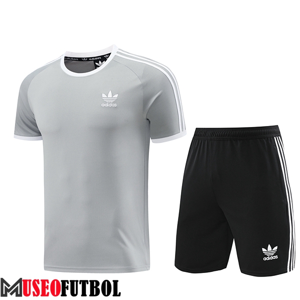 Camiseta Entrenamiento Adidas Gris 2024/2025