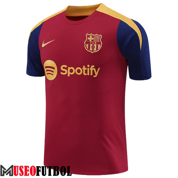 Camiseta Entrenamiento FC Barcelona Rojo/Amarillo/Azul 2024/2025