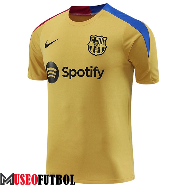 Camiseta Entrenamiento FC Barcelona Amarillo/Azul/Rojo 2024/2025