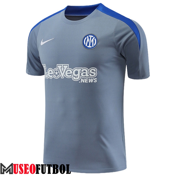 Camiseta Entrenamiento Inter Milan Gris/Azul 2024/2025