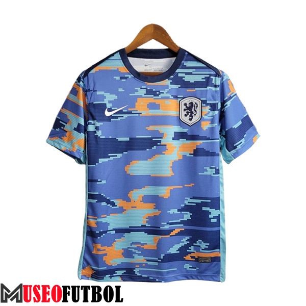 Camiseta Entrenamiento Inglaterra Azul 2024/2025