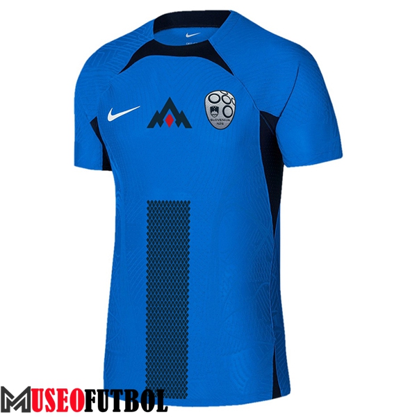 Camiseta Equipo Nacional Eslovenia Segunda 2024/2025