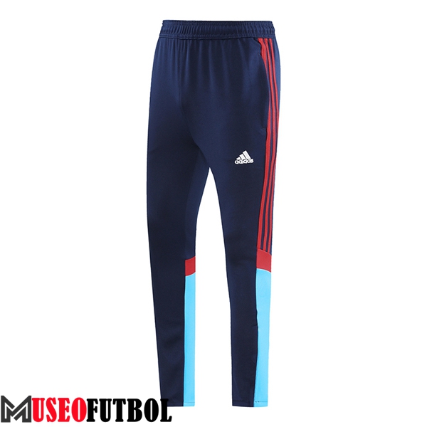 Pantalon Entrenamiento Arsenal Azul/Rojo 2024/2025