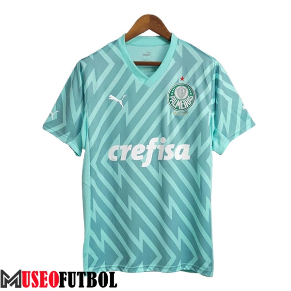 Camisetas De Futbol Palmeiras Portero Verde 2024/2025