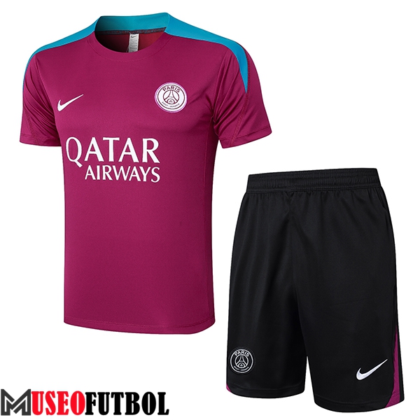 Camiseta Entrenamiento PSG Violeta/Azul 2024/2025