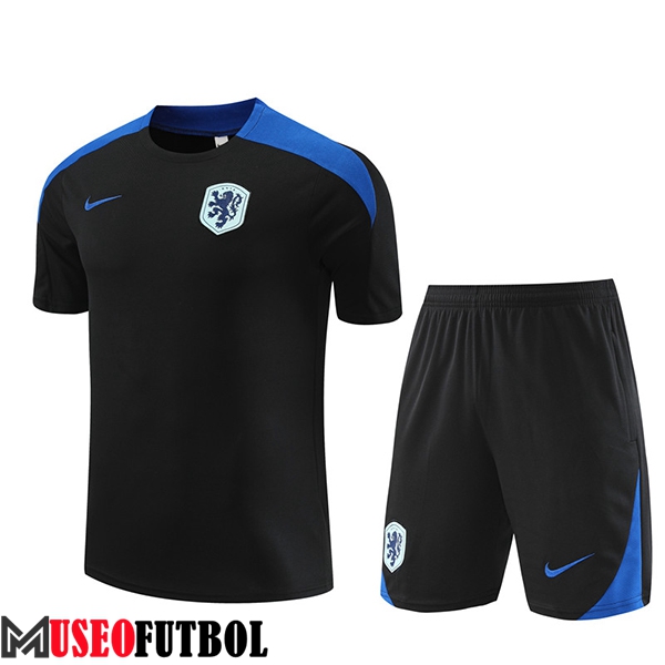 Camiseta Entrenamiento Países Bajos Negro/Azul 2024/2025