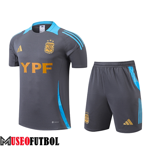 Camiseta Entrenamiento Argentina Gris/Azul 2024/2025