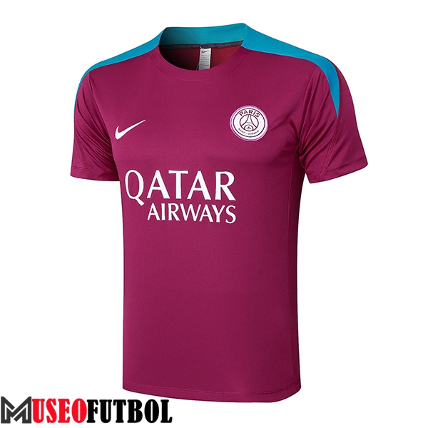 Camiseta Entrenamiento PSG Violeta/Azul 2024/2025