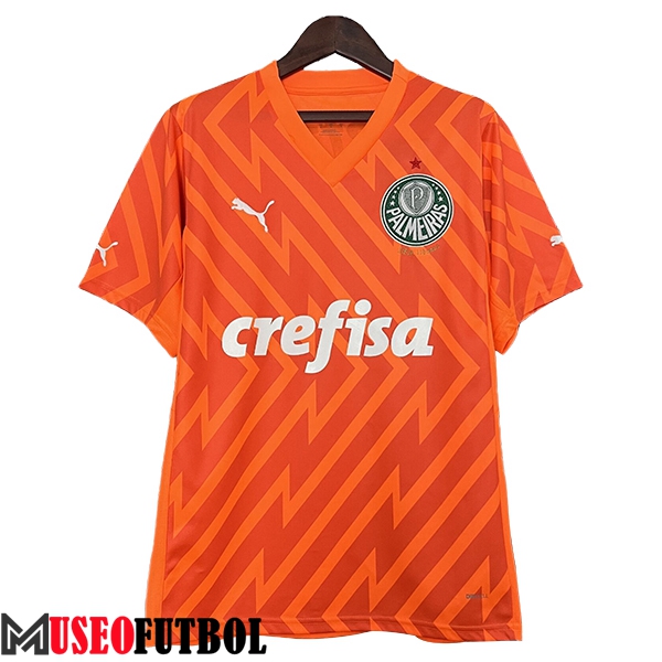 Camisetas De Futbol Palmeiras Portero Naranja 2024/2025