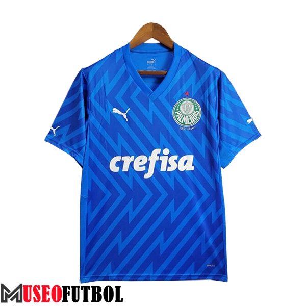 Camisetas De Futbol Palmeiras Portero Azul 2024/2025