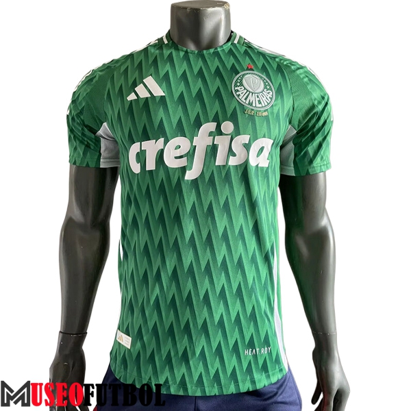 Camisetas De Futbol Palmeiras Special Edition Verde 2024/2025