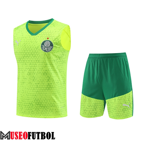 Camiseta Entrenamiento sin mangas Palmeiras Verde/Amarillo 2024/2025