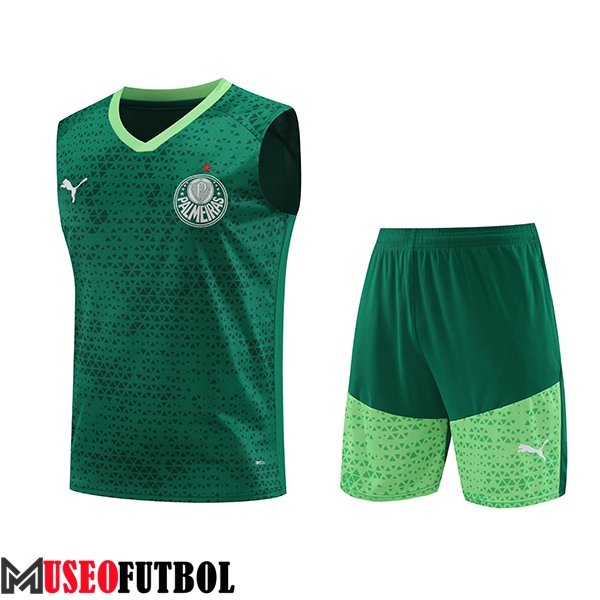 Camiseta Entrenamiento sin mangas Palmeiras Verde 2024/2025