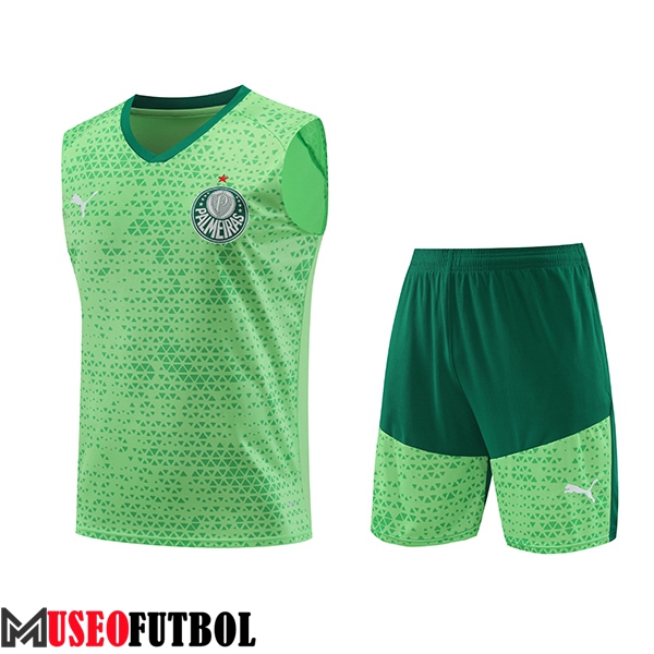 Camiseta Entrenamiento sin mangas Palmeiras Verde 2024/2025 -02