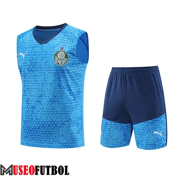 Camiseta Entrenamiento sin mangas Palmeiras Azul 2024/2025