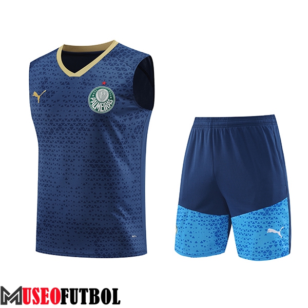 Camiseta Entrenamiento sin mangas Palmeiras Azul marino 2024/2025