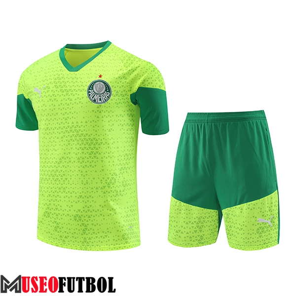 Camiseta Entrenamiento Palmeiras Verde/Amarillo 2024/2025