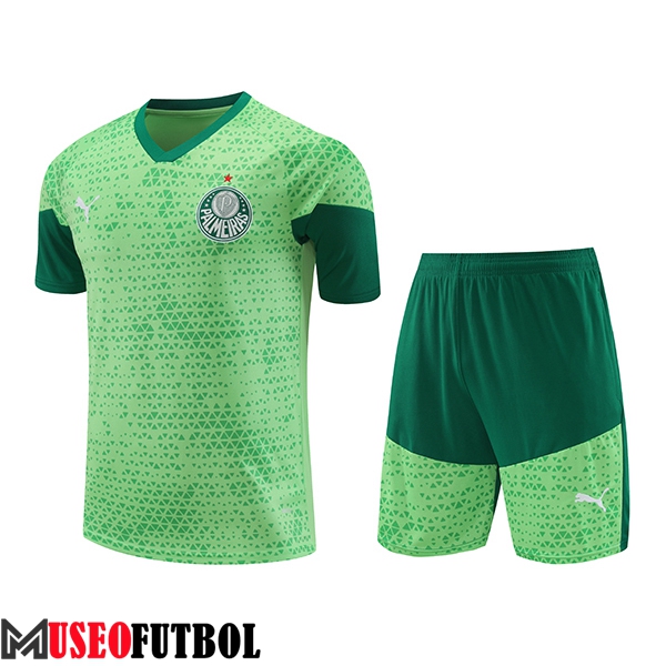 Camiseta Entrenamiento Palmeiras Verde 2024/2025 -04