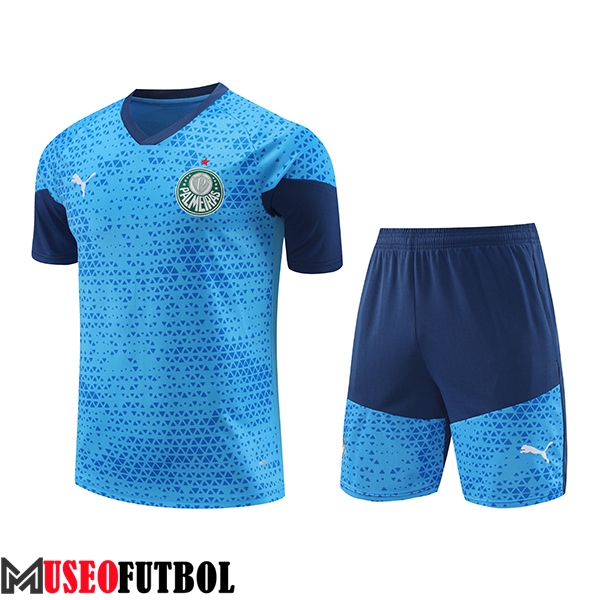 Camiseta Entrenamiento Palmeiras Azul 2024/2025