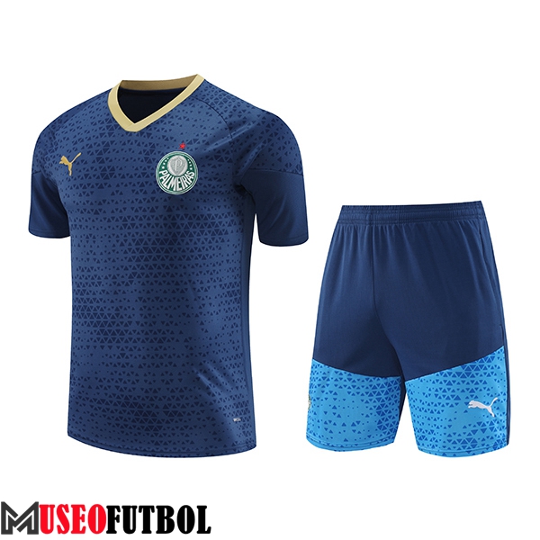 Camiseta Entrenamiento Palmeiras Azul marino 2024/2025