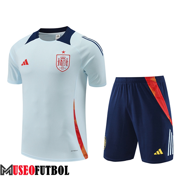 Camiseta Entrenamiento España Azul Claro 2024/2025