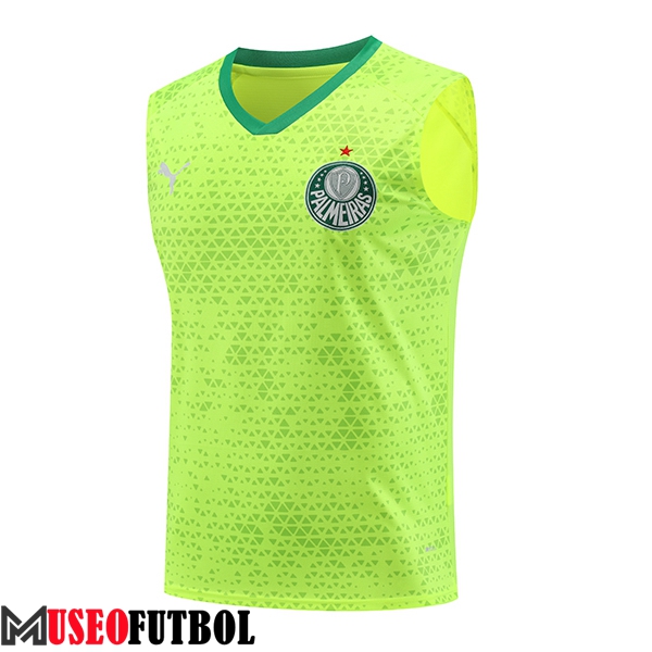 Chalecos De Futbol Palmeiras Verde/Amarillo 2024/2025