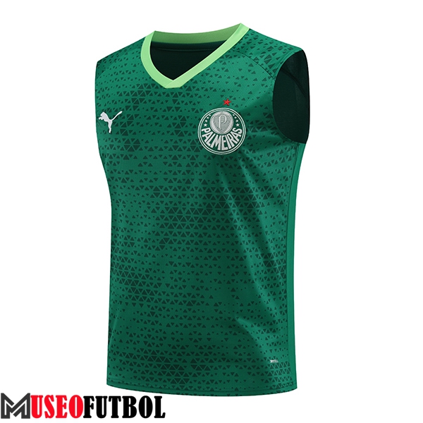 Chalecos De Futbol Palmeiras Verde 2024/2025