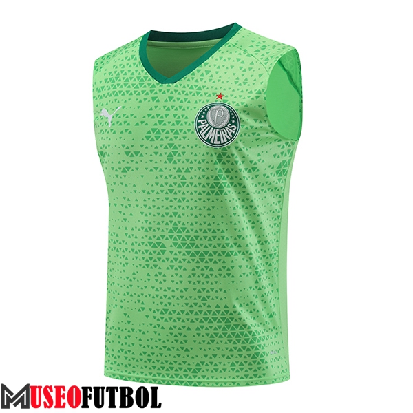 Chalecos De Futbol Palmeiras Verde 2024/2025 -02