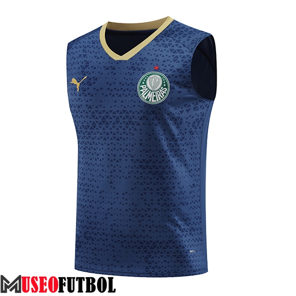 Chalecos De Futbol Palmeiras Azul marino 2024/2025