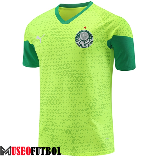 Camiseta Entrenamiento Palmeiras Verde/Amarillo 2024/2025