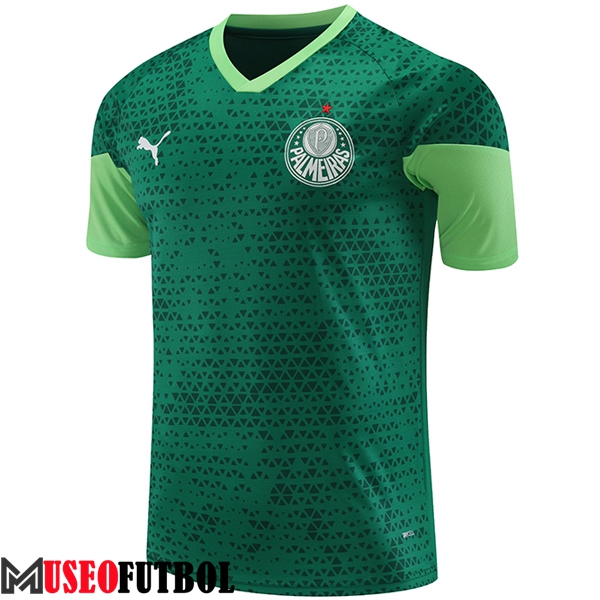 Camiseta Entrenamiento Palmeiras Verde 2024/2025 -03