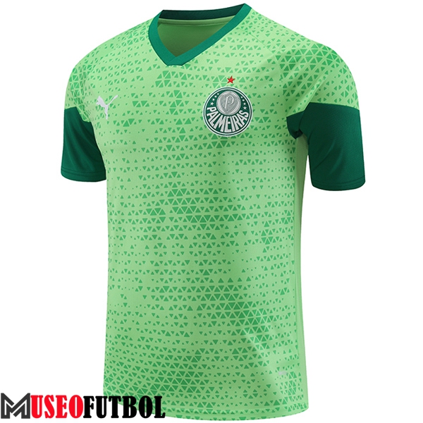 Camiseta Entrenamiento Palmeiras Verde 2024/2025 -04