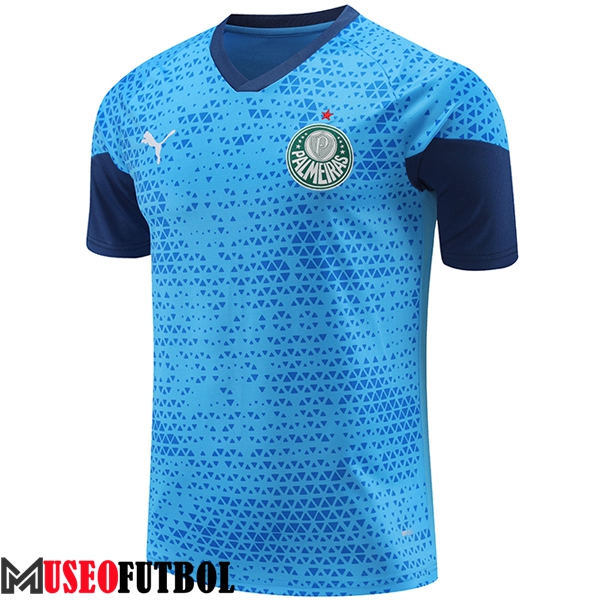 Camiseta Entrenamiento Palmeiras Azul 2024/2025