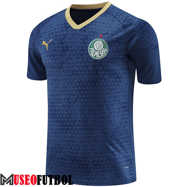 Camiseta Entrenamiento Palmeiras Azul marino 2024/2025