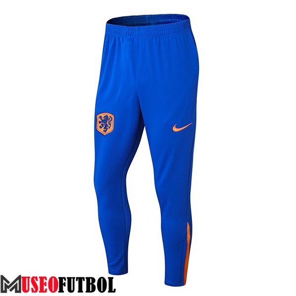 Pantalon Entrenamiento Países Bajos Naranja/Azul 2024/2025