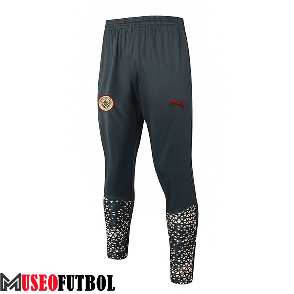 Pantalon Entrenamiento Manchester City Gris 2024/2025