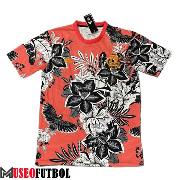 Camisetas De Futbol Flamengo Special Edition Rojo 2024/2025