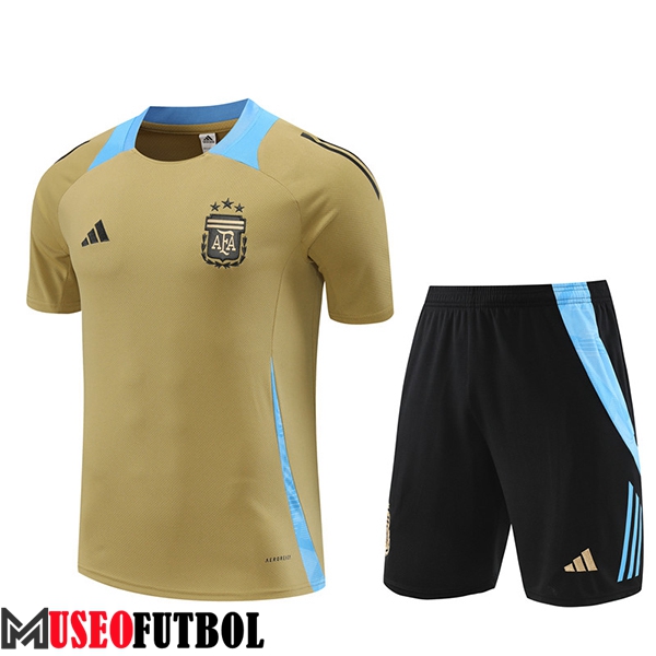 Camiseta Entrenamiento Argentina Amarillo/Azul 2024/2025