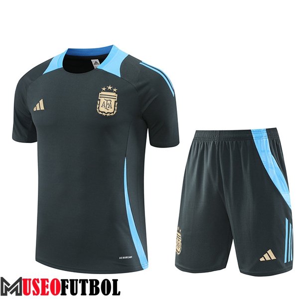 Camiseta Entrenamiento Argentina Gris/Azul 2024/2025 -02