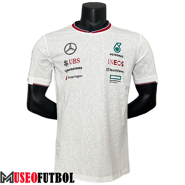 Camiseta de manga corta F1 Mercedes Benz Team Blanco/Gris 2024