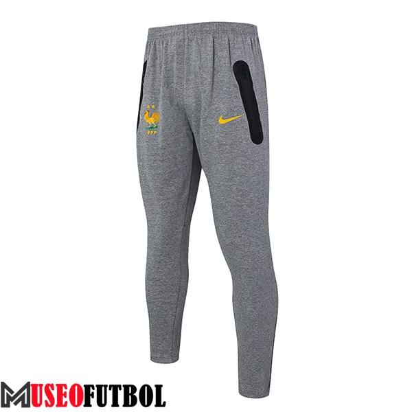 Pantalon Entrenamiento Francia Gris 2024/2025