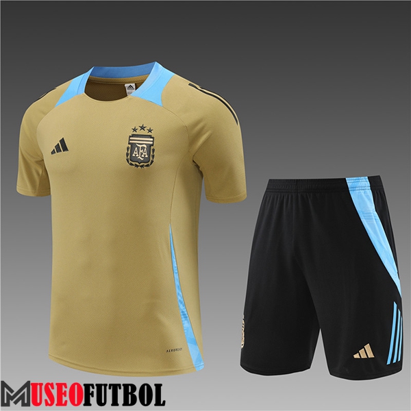 Camiseta Entrenamiento Argentina Ninos Amarillo/Azul 2024/2025