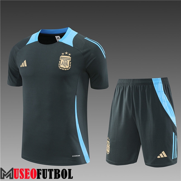 Camiseta Entrenamiento Argentina Ninos Gris/Azul 2024/2025