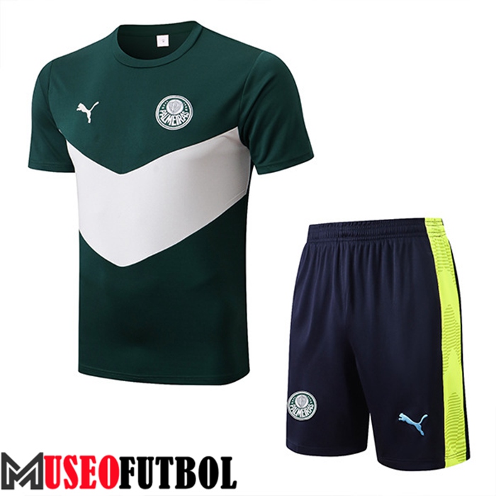 Camiseta Entrenamiento + Cortos Palmeiras Verde/Blanco 2022/2023