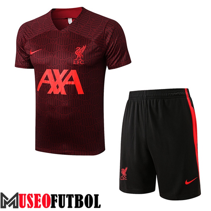 Camiseta Entrenamiento + Cortos FC Liverpool Brun 2022/2023