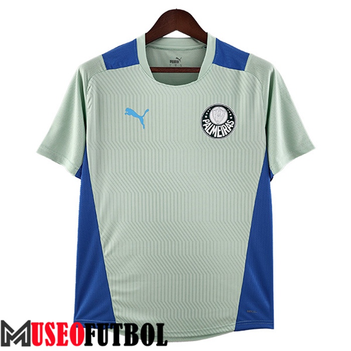 Camiseta Entrenamiento Palmeiras Verde 2022/2023